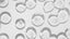 PEPTIDES COMPLEX