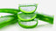 ALOE VERA EXTRACT SOLUTION