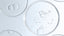 AHA and BHA – Essential allies for regenerated skin